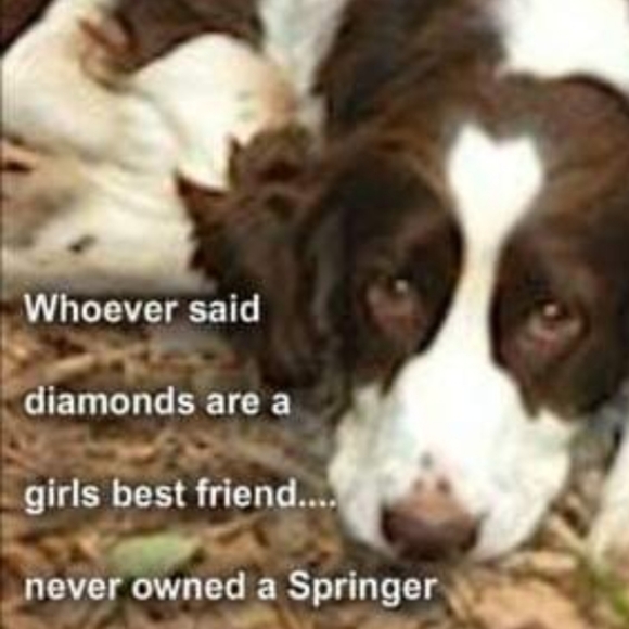 White House Black Market Capri Size 4 - Picture 9 of 10